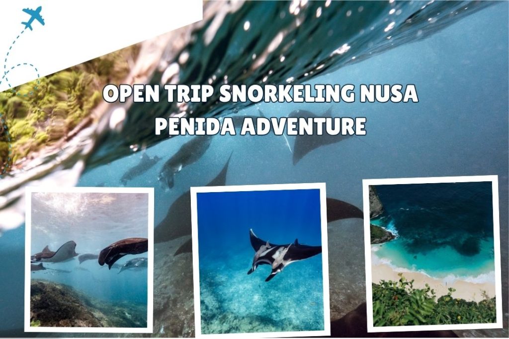 Open Trip Snorkeling Nusa Penida Adventure