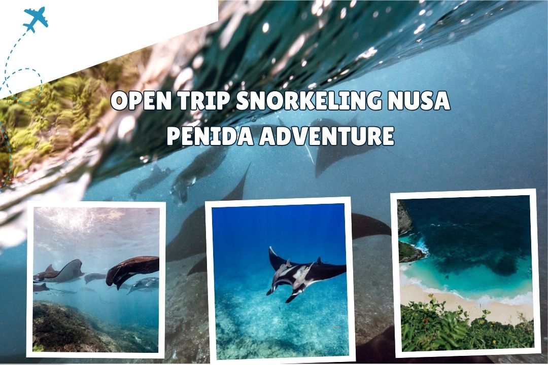 Open Trip Snorkeling Nusa Penida Adventure