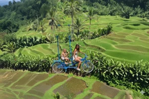 Bali Adventure Sky Bike Over Rice Terraces