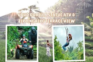 Ubud Gorilla Statue ATV & Zipline Rice Terrace View