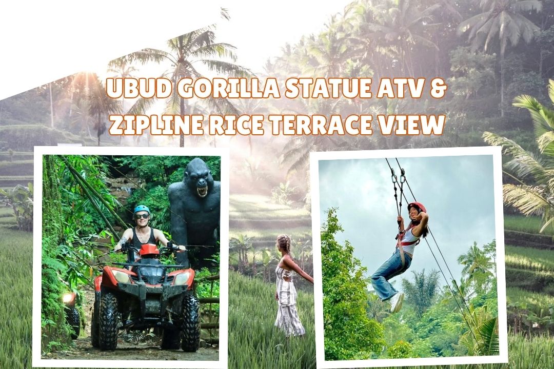 Ubud Gorilla Statue ATV & Zipline Rice Terrace View