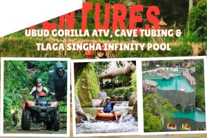 Ubud Gorilla ATV, Cave Tubing & Tlaga Singha Infinity Pool