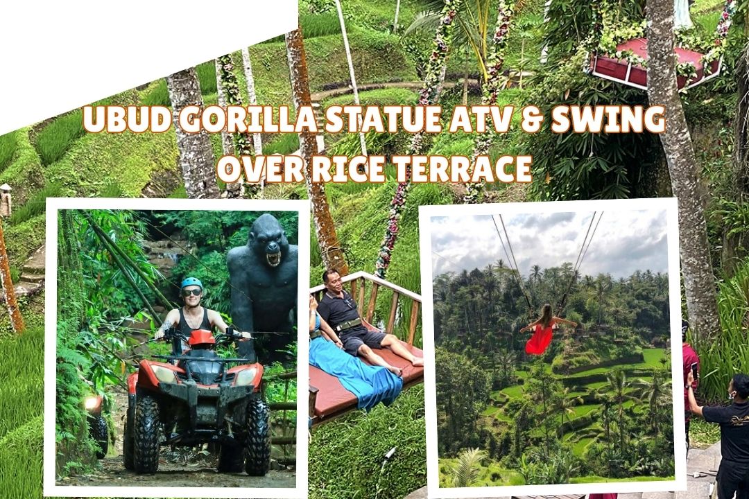 Ubud Gorilla Statue ATV & Swing Over Rice Terrace