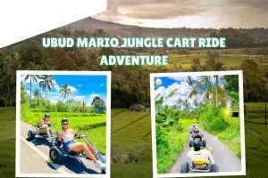 Ubud Mario Jungle Cart Ride Adventure